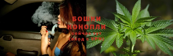прущая мука Пересвет