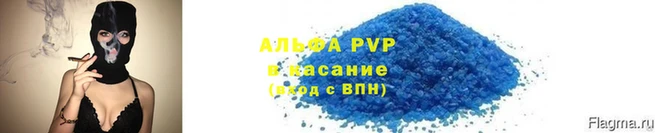 прущая мука Пересвет