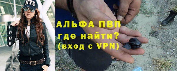 прущая мука Пересвет